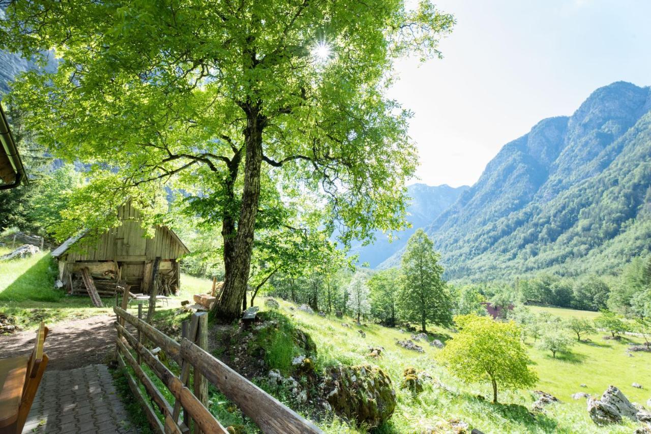 Alpine House Antonia Villa Trenta Exterior foto