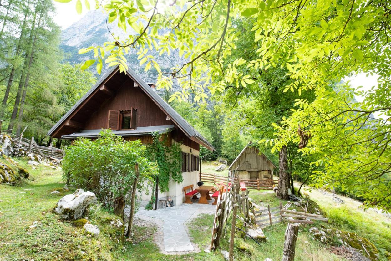 Alpine House Antonia Villa Trenta Exterior foto