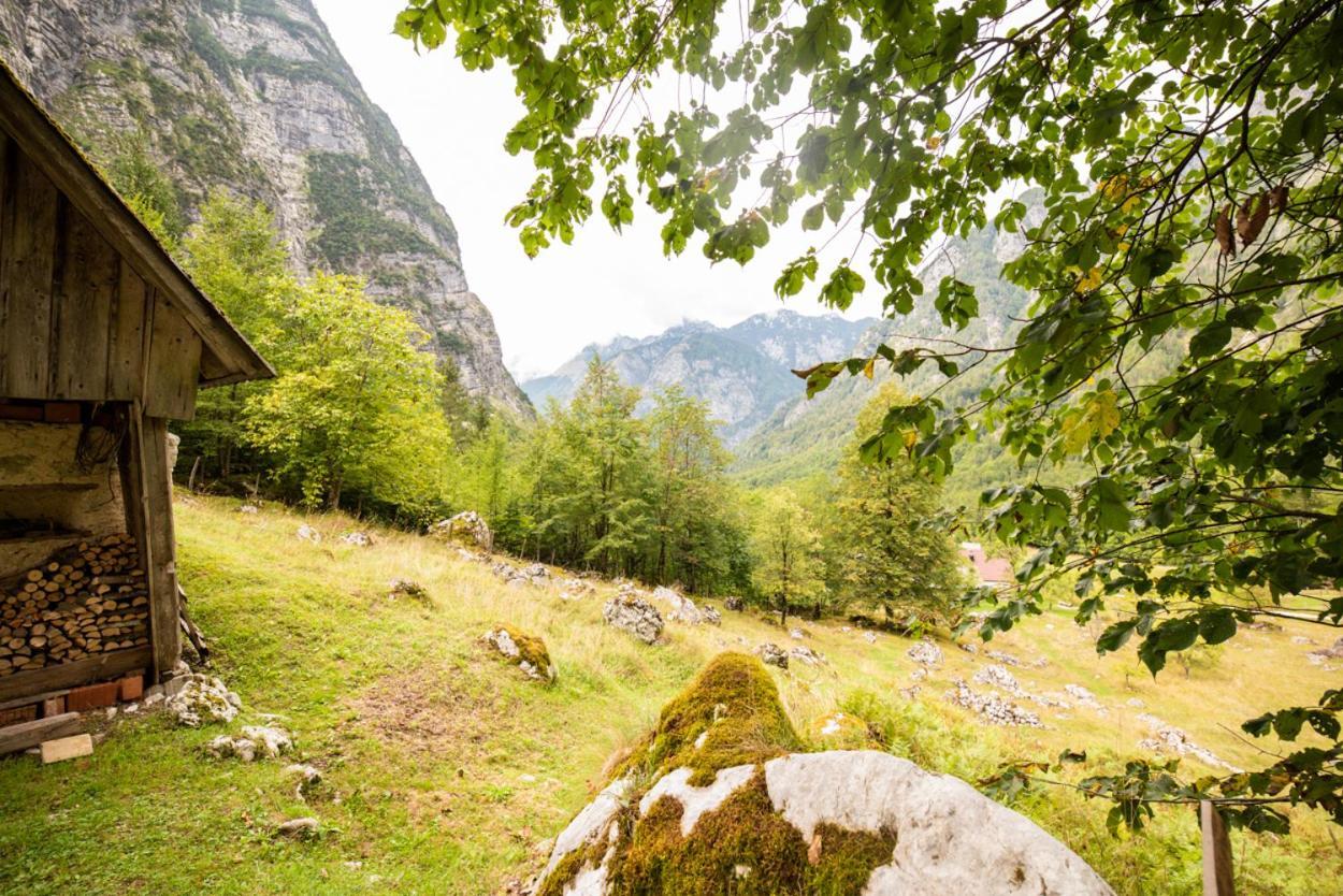 Alpine House Antonia Villa Trenta Exterior foto