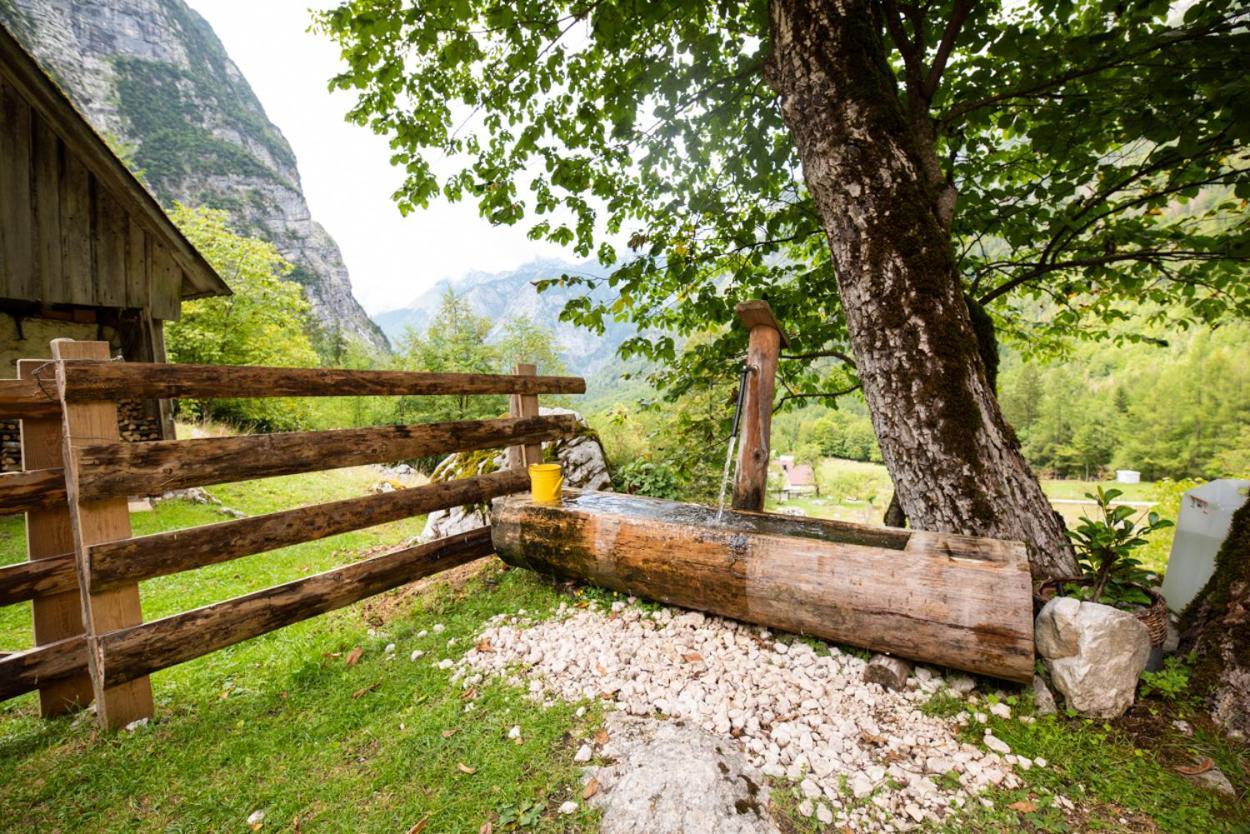 Alpine House Antonia Villa Trenta Exterior foto